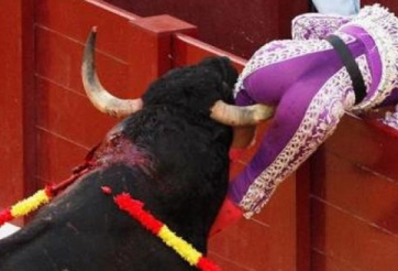 VIDEO: Màn đấu bò tót bi hài nhất từ trước tới nay