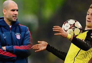 Pep Guardiola: Bayern Munich không cần Marco Reus