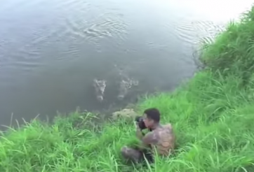 VIDEO: Suýt bị cá sấu 'làm thịt' vì chủ quan
