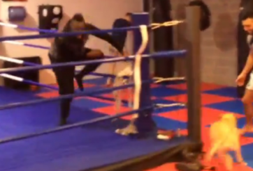 VIDEO: Balotelli chạy quanh sàn boxing vì bị chó đuổi