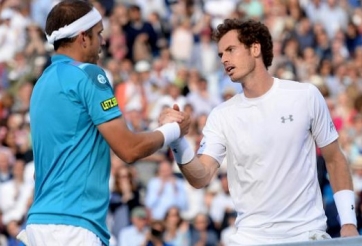 Aegon Championships 2015: Raonic dừng bước, Murray vào bán kết