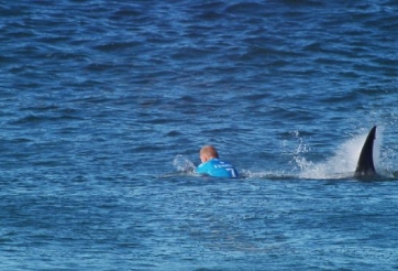 VIDEO: VĐV thi lướt sóng dũng cảm đối đầu cá mập