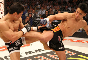 Video võ thuật: Những tuyệt chiêu khiến đối thủ choáng váng của Cung Lê