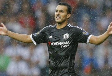 Pedro Rodriguez đã sai lầm khi lựa chọn Chelsea