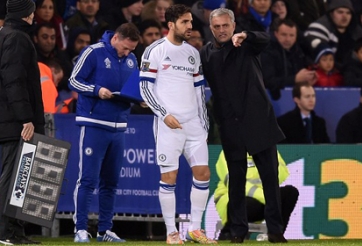 Bị dọa kiện, cựu sao Chelsea vội vàng xin lỗi Fabregas