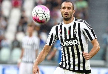 Juventus mất Chiellini cho trận gặp Bayern Munich