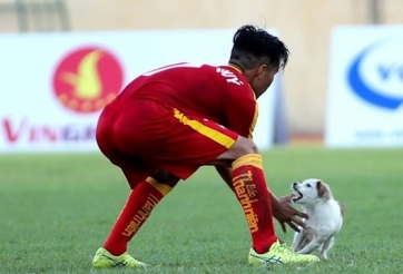 VIDEO: Cầu thủ PVF bị chó cắn ở giải U19 QG