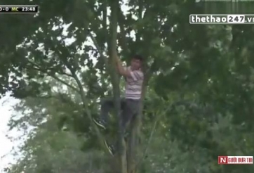 Hy hữu: Cảnh CĐV trèo cây xem trận đấu tại Premier League