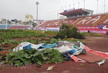 CĐV Đông Nam Á châm biếm khi thấy sân Lạch Tray trồng rau sau gôn