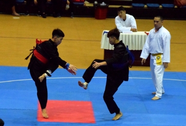 Khai mạc giải vô địch Pencak Silat toàn quốc 2021 tại Đà Nẵng