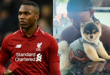 Sao Liverpool bị kẻ trộm đột nhập vào nhà và cái kết 'đắng'