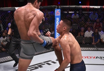 Lĩnh trọn cú lên gối 'tử thần', võ sĩ gốc Việt nằm im bất động