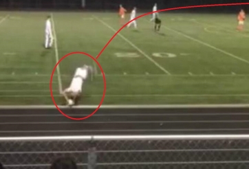 VIDEO: Cầu thủ ném biên vào gôn ghi bàn thắng kỳ lạ nhất thế giới