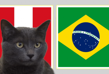 Mèo tiên tri dự đoán kết quả Peru vs Brazil: Căng thẳng