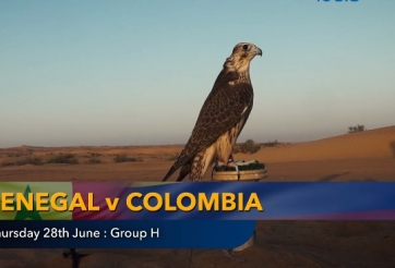 Nhà tiên tri dự đoán kết quả Senegal vs Colombia: Sẽ có bất ngờ?