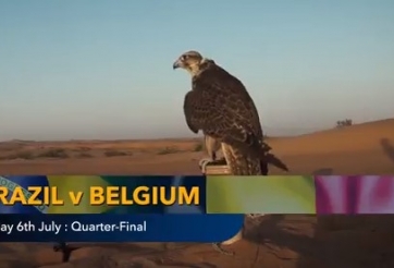 Nhà tiên tri dự đoán kết quả Brazil vs Bỉ: Hứa hẹn nhiều bàn thắng