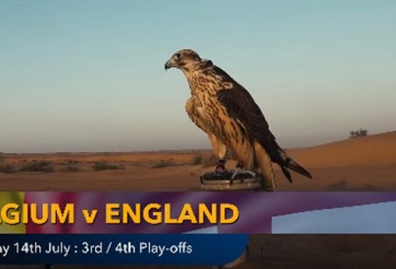 Nhà tiên tri dự đoán kết quả Anh vs Bỉ: Đúng ý chuyên gia