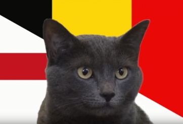 Mèo tiên tri dự đoán kết quả Anh vs Bỉ: Lựa chọn tối ưu