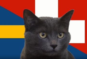 Mèo tiên tri dự đoán kết quả Thụy Điển vs Thụy Sĩ: Khó tin