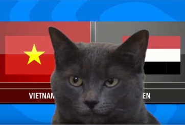 VIDEO: Mèo tiên tri dự đoán kết quả Việt Nam vs Yemen