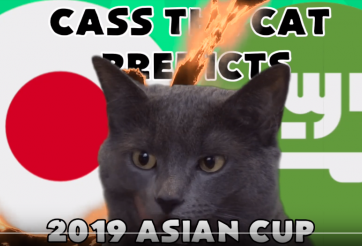VIDEO: Mèo tiên tri dự đoán đối thủ Việt Nam tại tứ kết