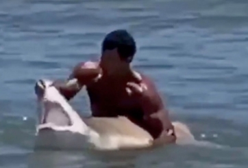 VIDEO: VĐV bơi lội tay không bắt cá mập để chụp ảnh
