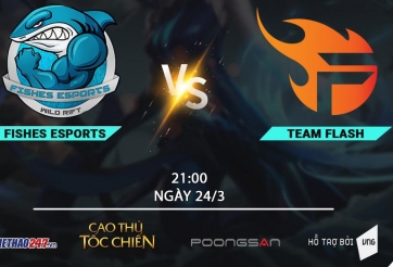 Fish Esports vs Team Flash: Tứ kết là 'cá mập', bán kết thành 'cá con'?