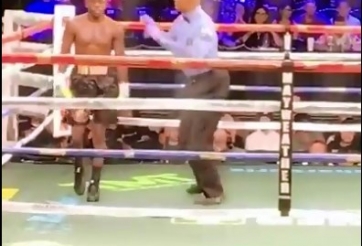 VIDEO: Giận dỗi vì bị đấm out, võ sĩ ... bỏ luôn trận đấu 