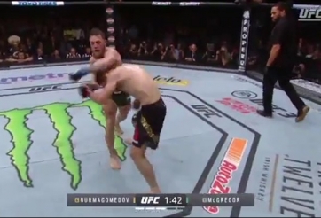 VIDEO Cho thấy Khabib đã 'biết thừa' chiến thuật của Conor tại UFC 229