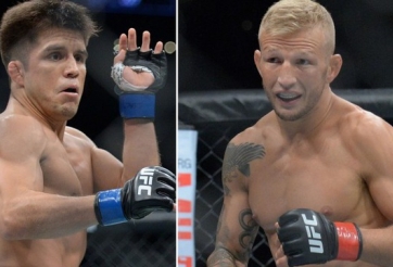 TJ Dillashaw 'được trả cả đống tiền để diệt Flyweight', Henry Cejudo rời UFC nếu bỏ hạng cân này? 