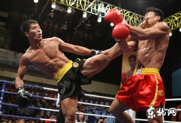 Tán Thủ - Môn võ tiền đề hiệu quả nhất để lên sàn MMA?