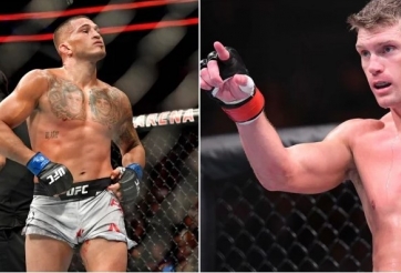 Anthony Pettis xem xét ý định lên hạng, nhắm vào Stephen Thompson