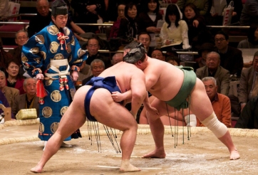 Nặng hơn 100kg, sumo có thể đi 'máy bay' như thế nào?