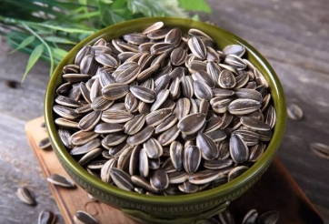 5 lợi ích sức khỏe không ngờ của hạt hướng dương