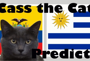 Mèo tiên tri dự đoán Uruguay vs Ecuador: Mở màn bảng C bất ngờ