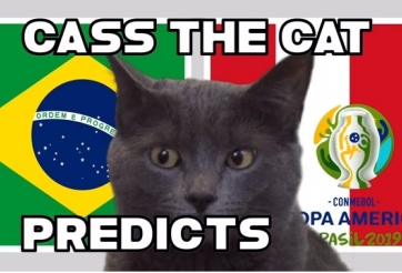Mèo tiên tri dự đoán kết quả Brazil vs Peru: Đáng để chờ đợi
