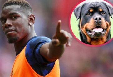 Pogba chi hơn 400 triệu chỉ để có thêm 'bạn mới'