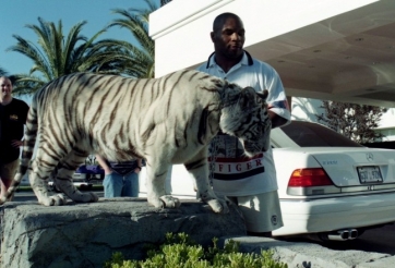 Mike Tyson và cú sốc thú nuôi suýt ăn thịt người giữa phố