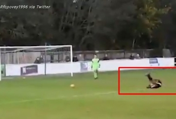 VIDEO: Cựu sao Ngoại hạng Anh nhận 'mưa' chế giễu vì ăn vạ lố bịch