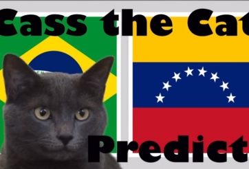 Mèo tiên tri dự đoán kết quả Brazil vs Venezuela: 3 điểm chủ nhà