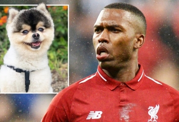 Cựu sao Liverpool bị tố 'vong ơn bội nghĩa', thất hứa gần hơn nửa tỷ đồng