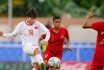 HLV Indonesia: 'Đội tuyển Việt Nam quá mạnh'