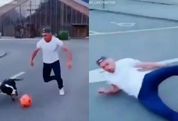 VIDEO: Chàng trai rê bóng qua chó cưng và cái kết sấp mặt