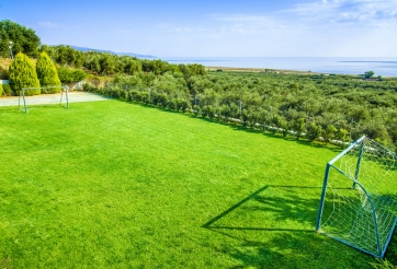 Kích thước chuẩn của sân cỏ nhân tạo là bao nhiêu?