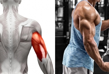 4 cách tập tay sau hiệu quả dễ dàng tại nhà