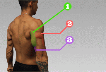 3 bài tập tay sau lãng phí thời gian bạn nên tránh