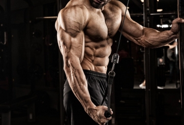 6 bài tập tay sau tốt nhất cho người mới