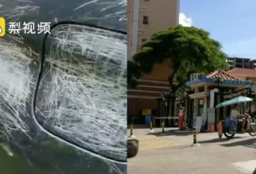 4 đứa trẻ 'vui tay' rạch xước hơn 30 ô tô trong bãi đỗ xe