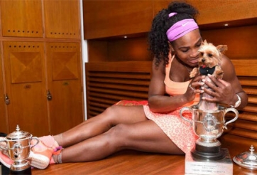 Tay vợt nổi tiếng ngộ độc vì ăn đồ của chó