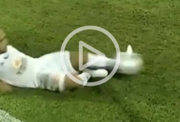 VIDEO: Bàn phản lưới mang thương hiệu 'cố đấm ăn xôi'